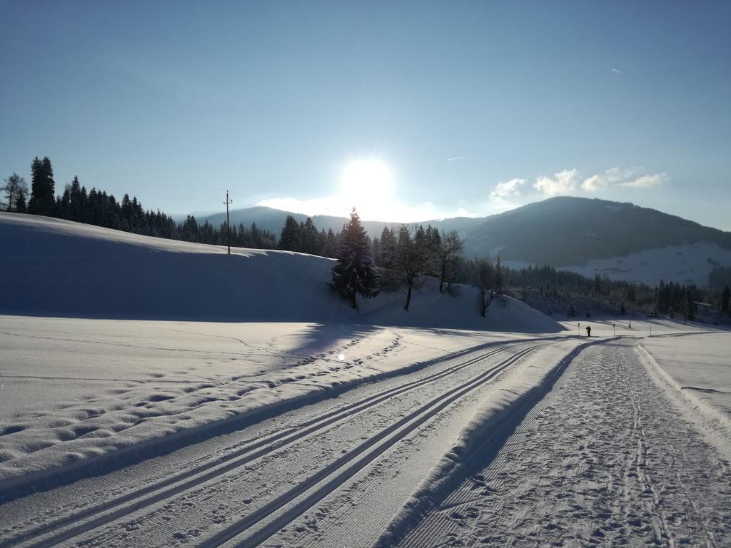 Appartements Oberhauser Westendorf Dış mekan fotoğraf