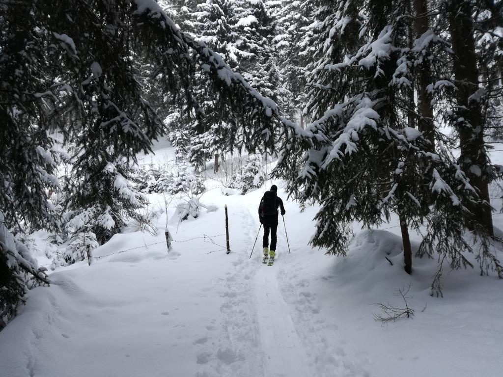 Appartements Oberhauser Westendorf Dış mekan fotoğraf