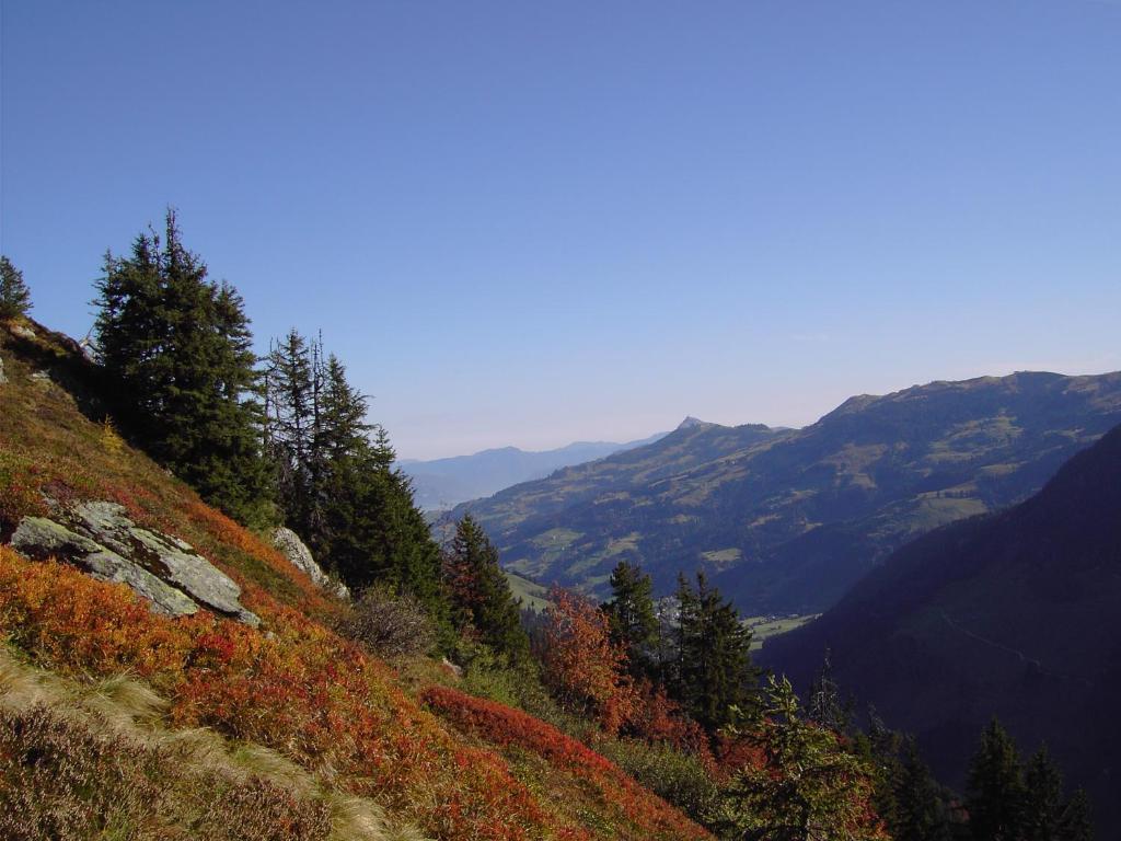 Appartements Oberhauser Westendorf Dış mekan fotoğraf