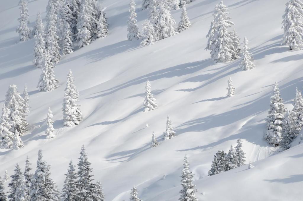 Appartements Oberhauser Westendorf Dış mekan fotoğraf