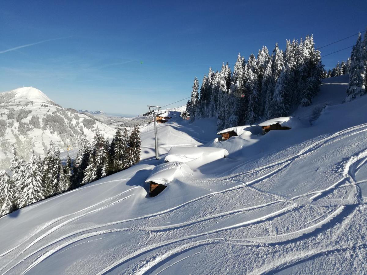 Appartements Oberhauser Westendorf Dış mekan fotoğraf