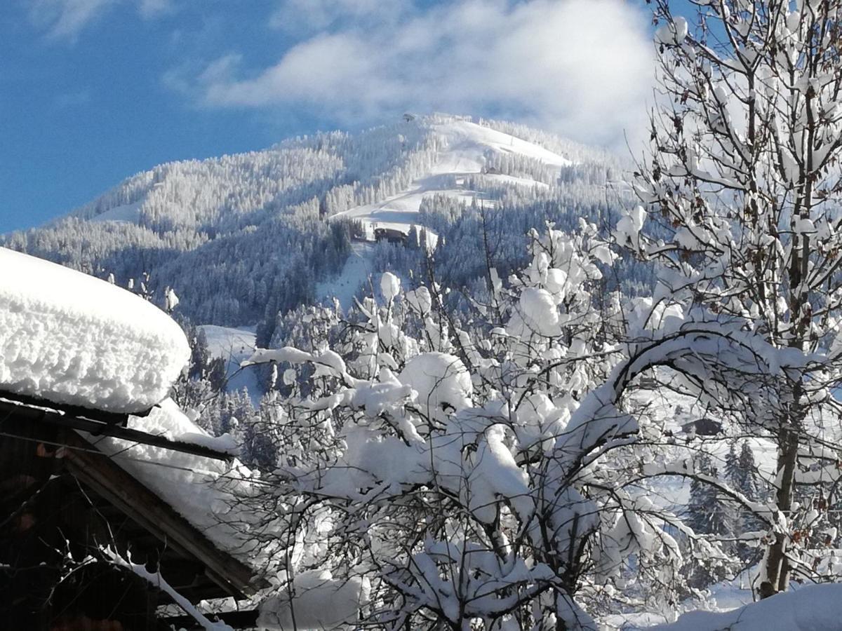 Appartements Oberhauser Westendorf Dış mekan fotoğraf